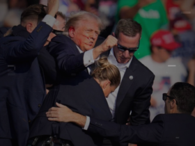 Decoding Donald Trump Assassination Attempt