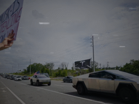 Decoding Tesla Troubles with Elon Musk's EV Revolution