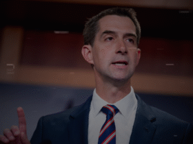 Tom Cotton Stance on Israel