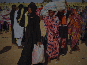 Hundreds Escape Sudan Massacre as El-Fasher Falls to RSF